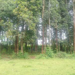 3 Acres of Land in Cherenganyi, Kitale - thumbnail 2