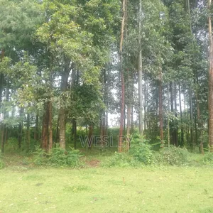 3 Acres of Land in Cherenganyi, Kitale