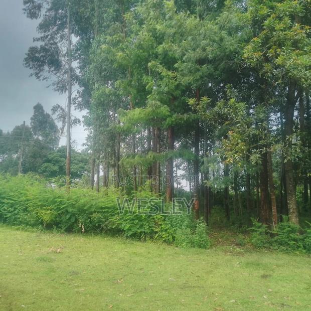 3 Acres of Land in Cherenganyi, Kitale - thumbnail 4