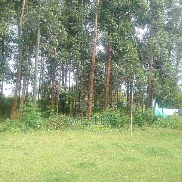 3 Acres of Land in Cherenganyi, Kitale - thumbnail 7