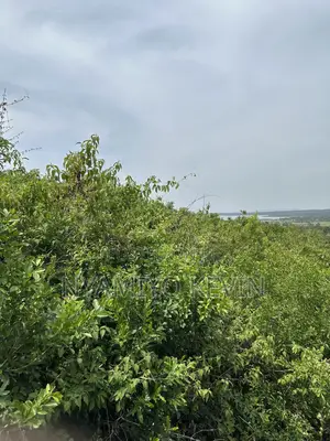 Land for Sale in Got Akara in Kanyaboli