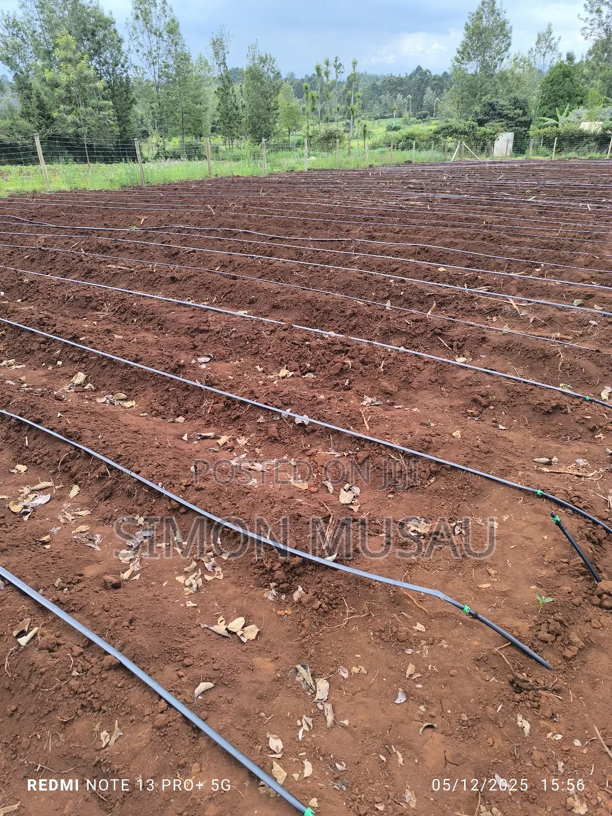 Dam Liner and Drip Irrigation