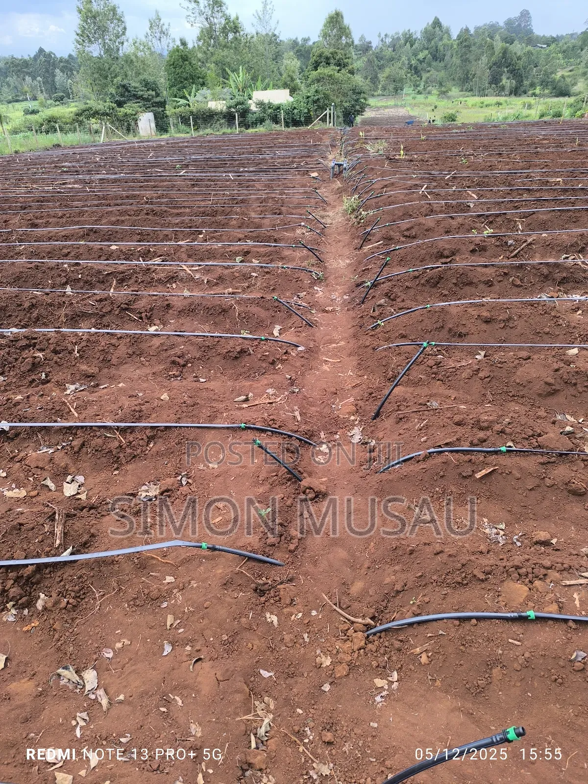 Dam Liner and Drip Irrigation