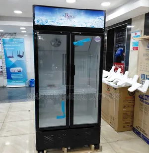 Roch - 409 Litres Side By Side Spacious Showcase Chiller Fridge