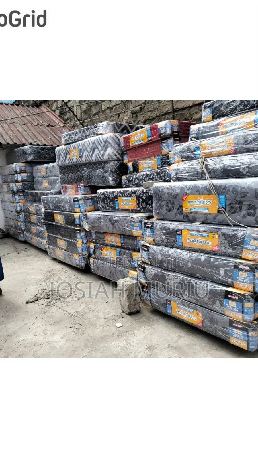 4*6 Medium Density Plain 10" Morning Glory Mattress