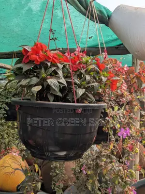 Flowering and Maintenance Serrvices