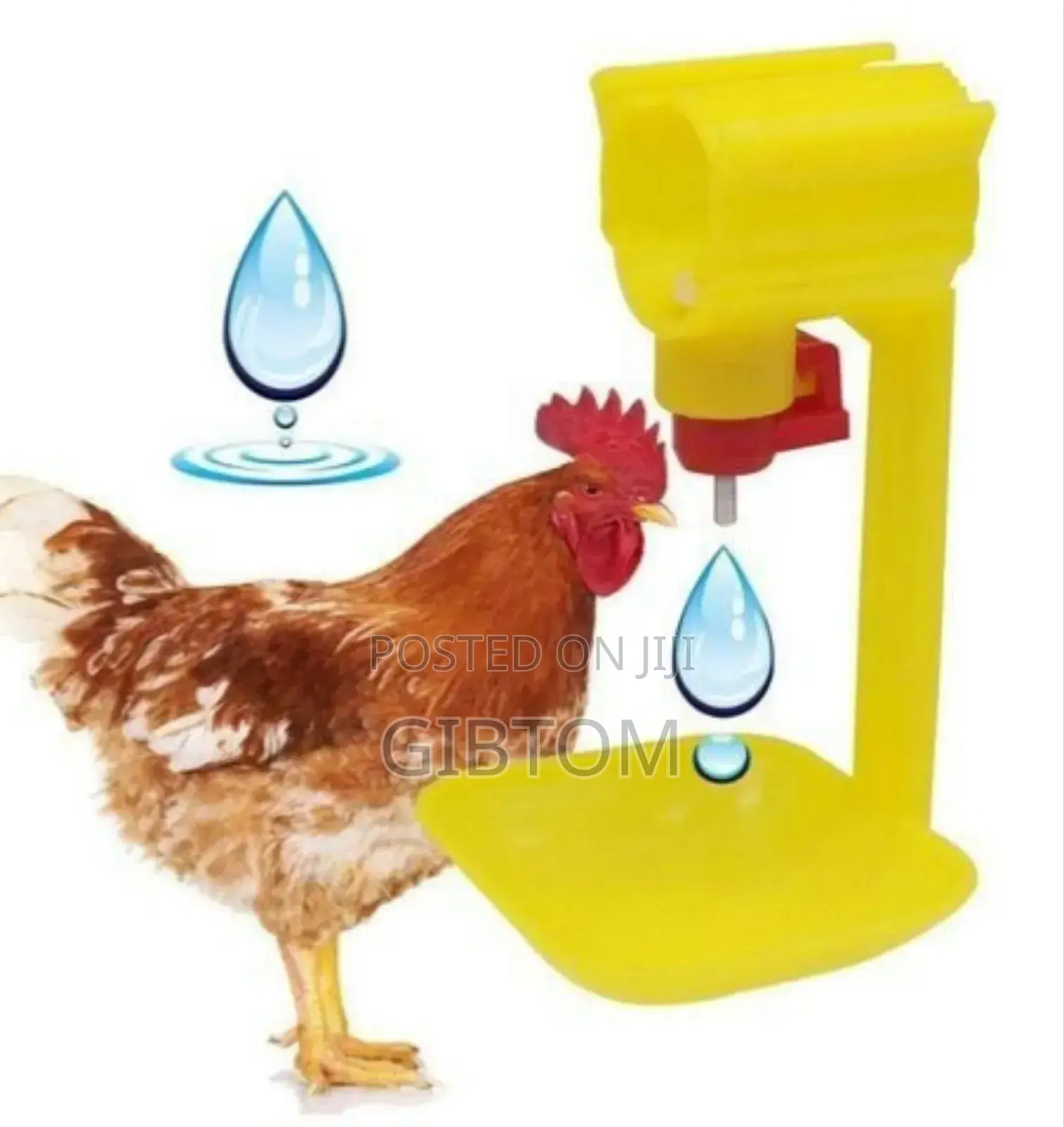Yellow Cup Poultry Drinkers Automatic Chicken Water Drinkers