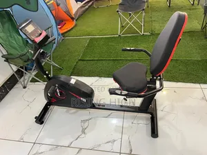 Heavy-Duty Recumbent Workout Bike