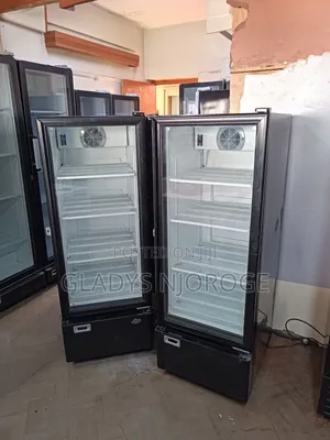 Affordable Chiller ( Well Maintained) 300l