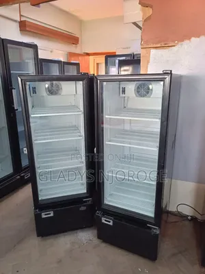 Affordable Chiller ( Well Maintained) 300l