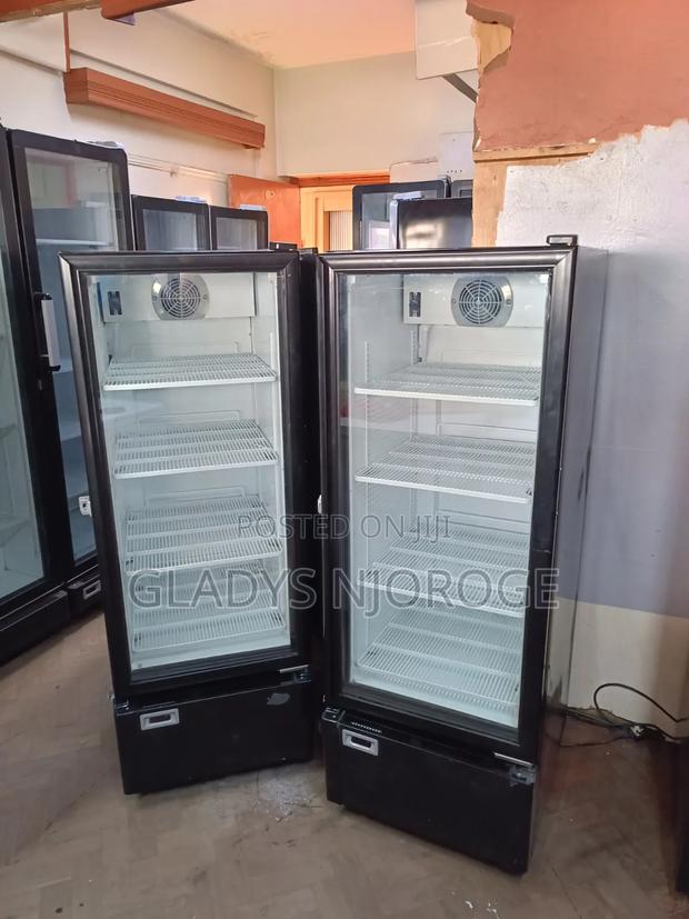 Affordable Chiller ( Well Maintained) 300l - thumbnail 2