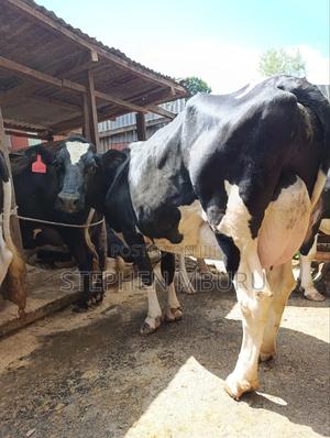 Freshian Milker - thumbnail 2