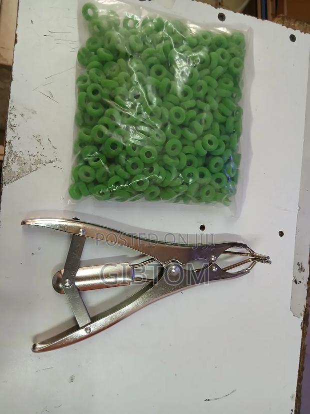 Applicator/Elastrator Pliers for Castration, Dehorning Docking - main view