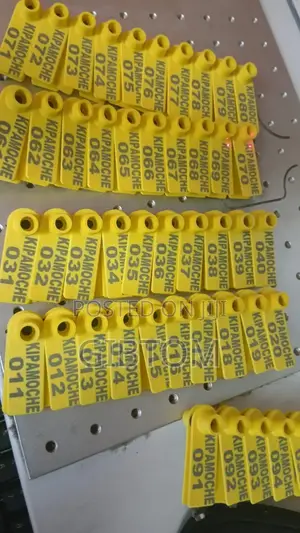Customized Label Eartags for Sheep/Goat Identification