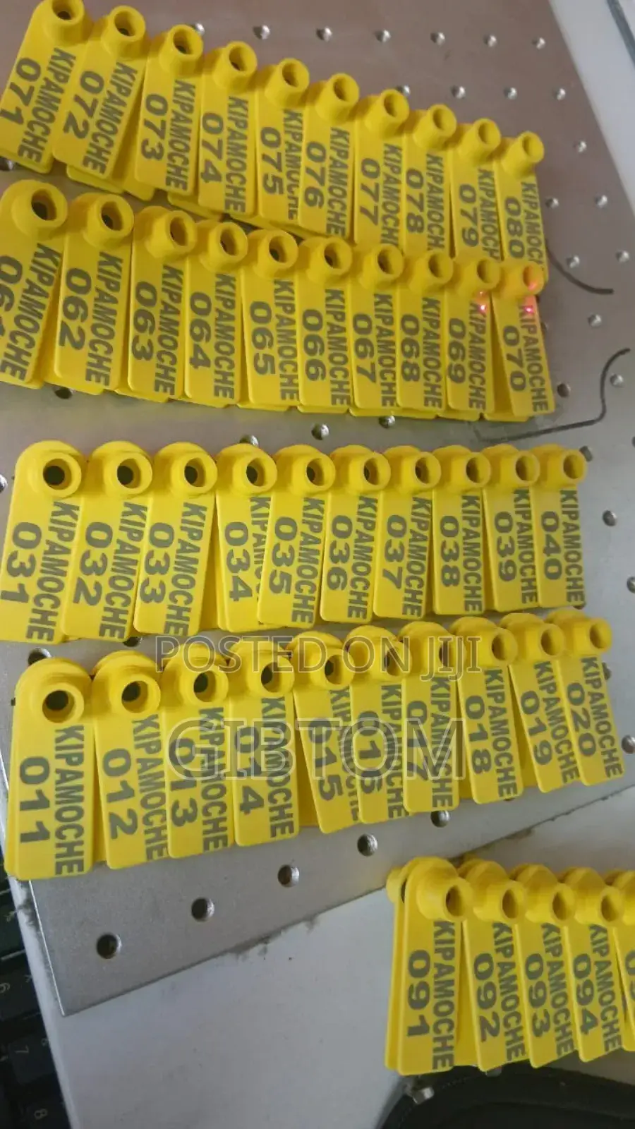 Customized Label Eartags for Sheep/Goat Identification