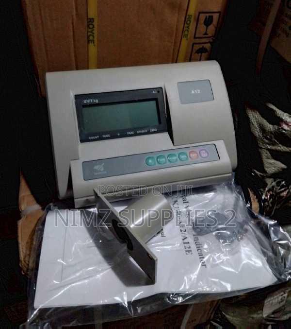 A12 Scale Indicator - main view