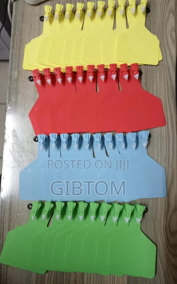 Large Cattle Cow Z Plain Eartags - main view