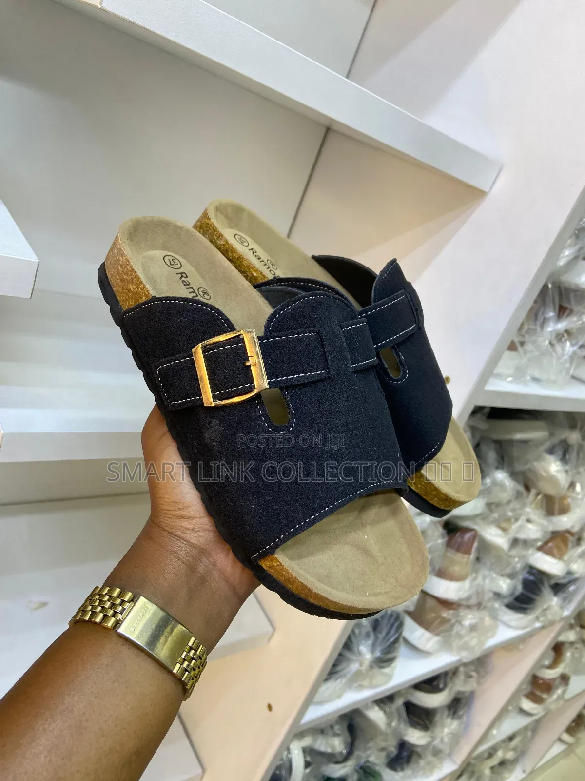 Ramoni Slides