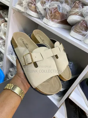 Ramoni Slides