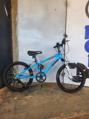 20 Inch Ex Usa Bicycle