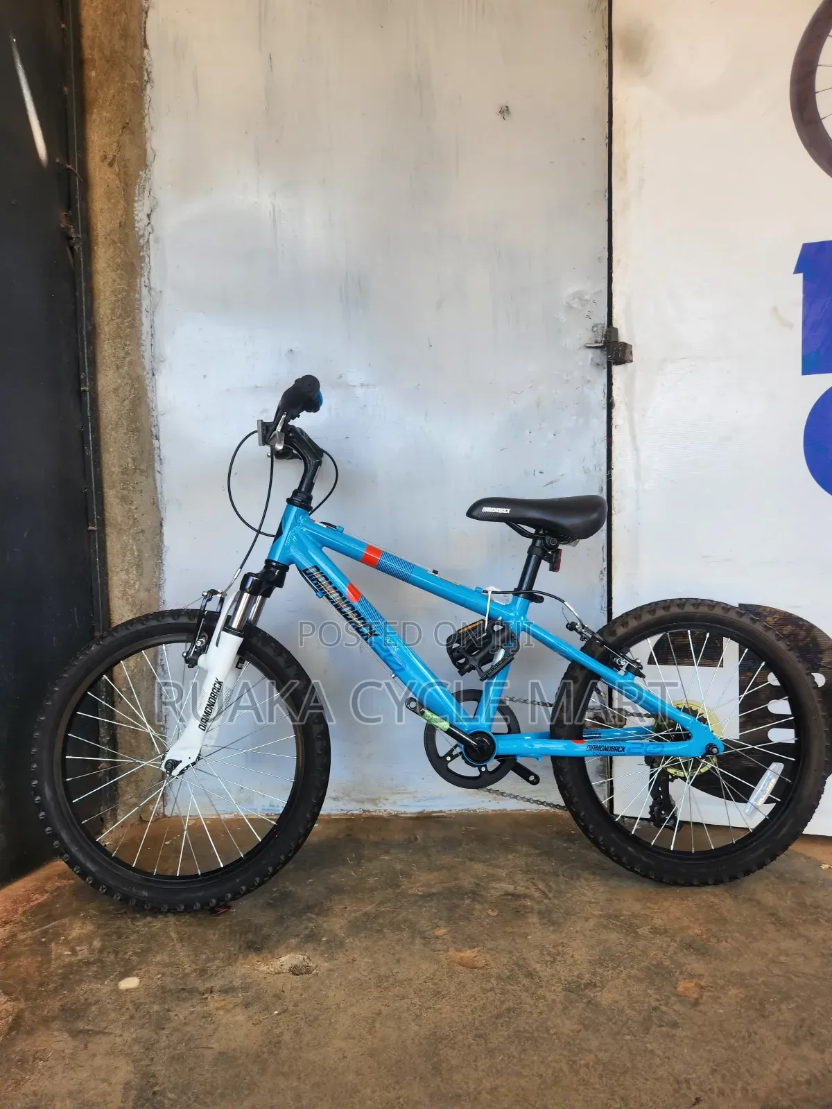 20 Inch Ex Usa Bicycle