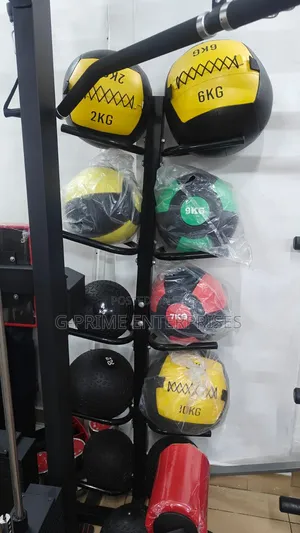 Wall Ball and Medicine Ball