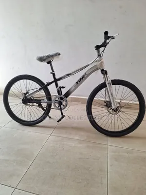 Bike Size 24 (10 Years And Above)