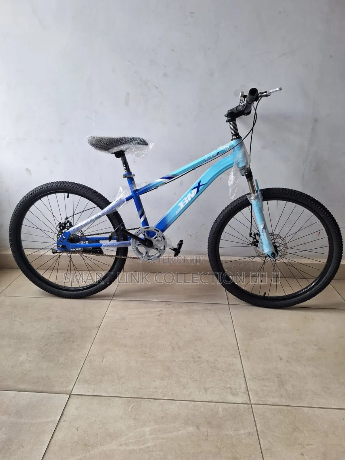 Bike Size 24 (10 Years And Above)