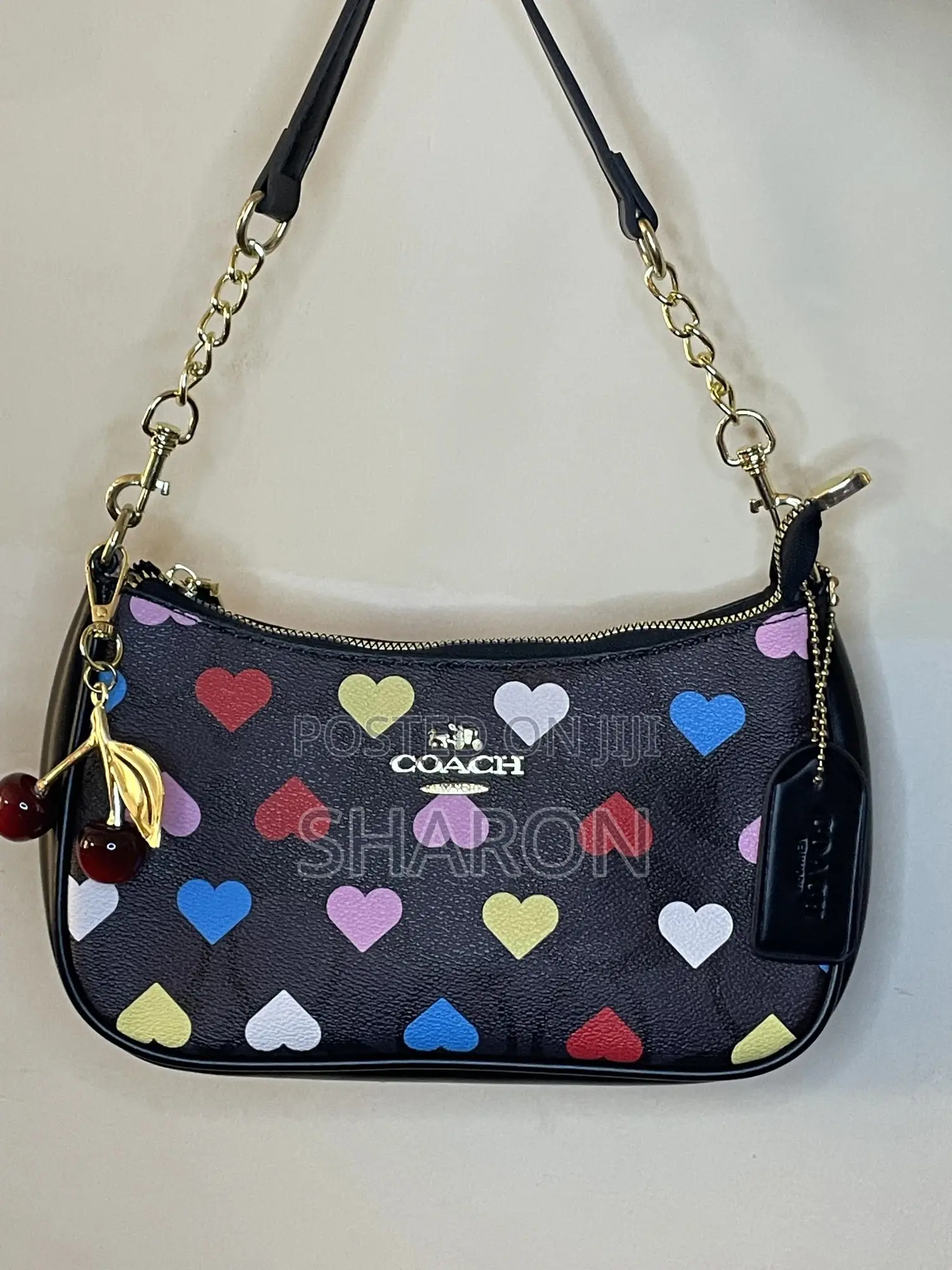 Coach Teri Bags(Free Cherry Charm)