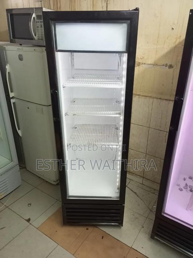 Black and White 300 Litres Display Fridge