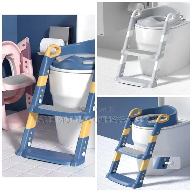 *Toilet Ladder - main view