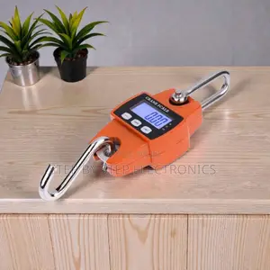 Top Quality 300kgs Industrial Hanging Hook Crane Scale LCD Accurate