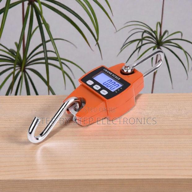 Heavy Duty 300kgs Digital Hanging Crane Scale LCD Long Lasting