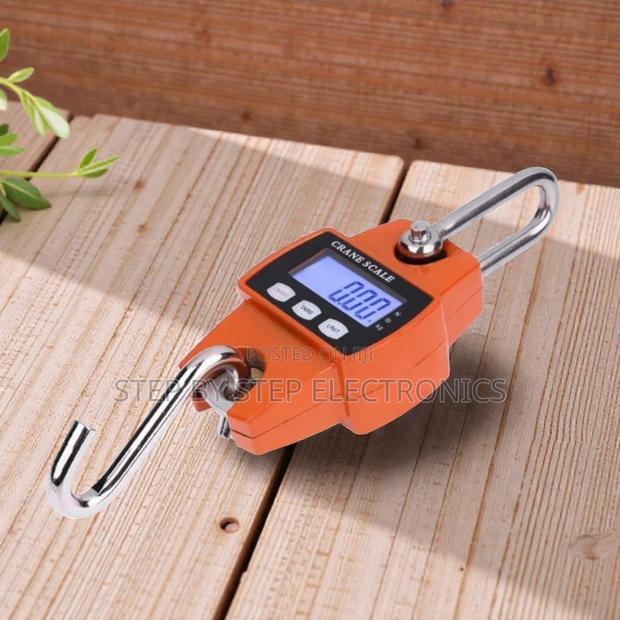 Top Quality 300kgs Crane Scale LCD Portable Rechargeable Battery