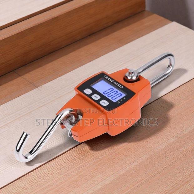 Reliable Performance 300kgs Digital Hanging Scale LCD Accurate