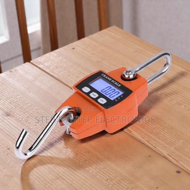 Efficient and Convenient 300kgs Crane Hook Scale LCD Portable
