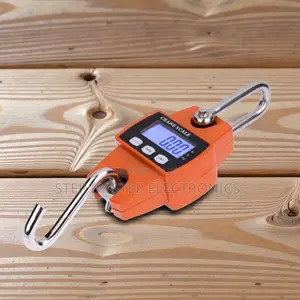 Quality Ensured 300kgs Hook Crane Scale LCD Large Capacity Battery