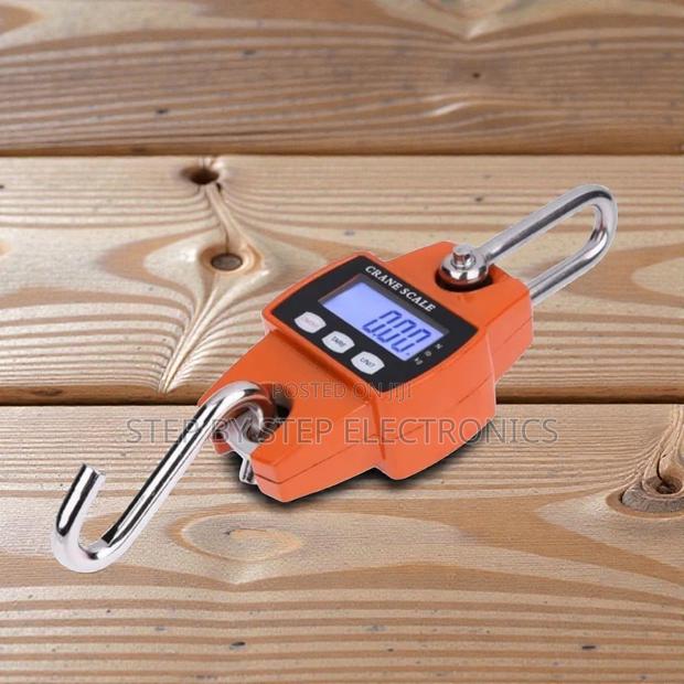 Quality Ensured 300kgs Hook Crane Scale LCD Large Capacity Battery