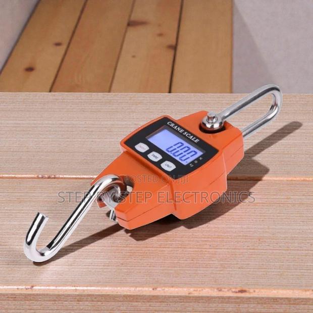 Inexpensive High Quality 300kgs Digital Crane Scale LCD Portable