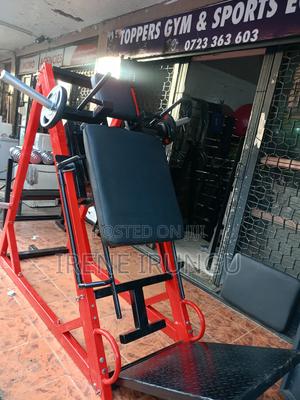 2 in 1 Leg Press/ Hack Squat Machine - main view