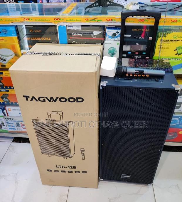 *Tagwood 12" 12b Rechargeable Portable Speaker