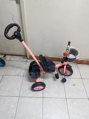 Tricycle With Push Handle - main view