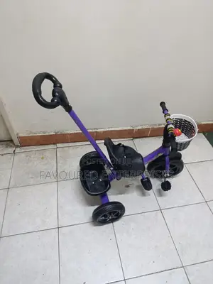 Tricycle With Push Handle Purple
