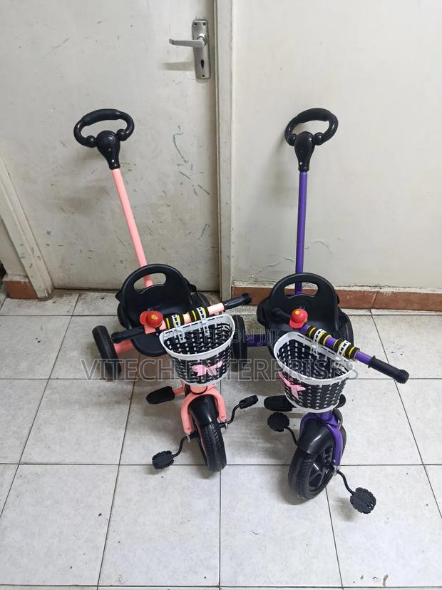 Tricycle With Push Handle - main view