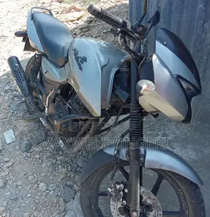 Bajaj Pulsar 150 2010 Silver
