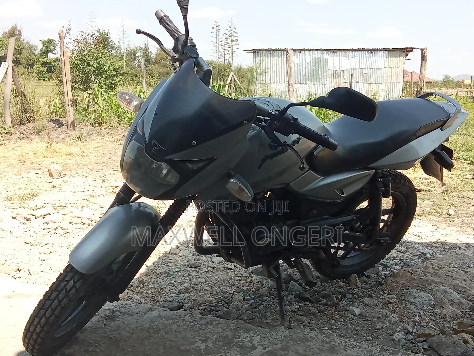 Bajaj Pulsar 150 2010 Silver