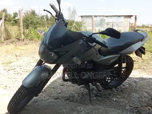 Bajaj Pulsar 150 2010 Silver