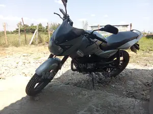 Bajaj Pulsar 150 2010 Silver