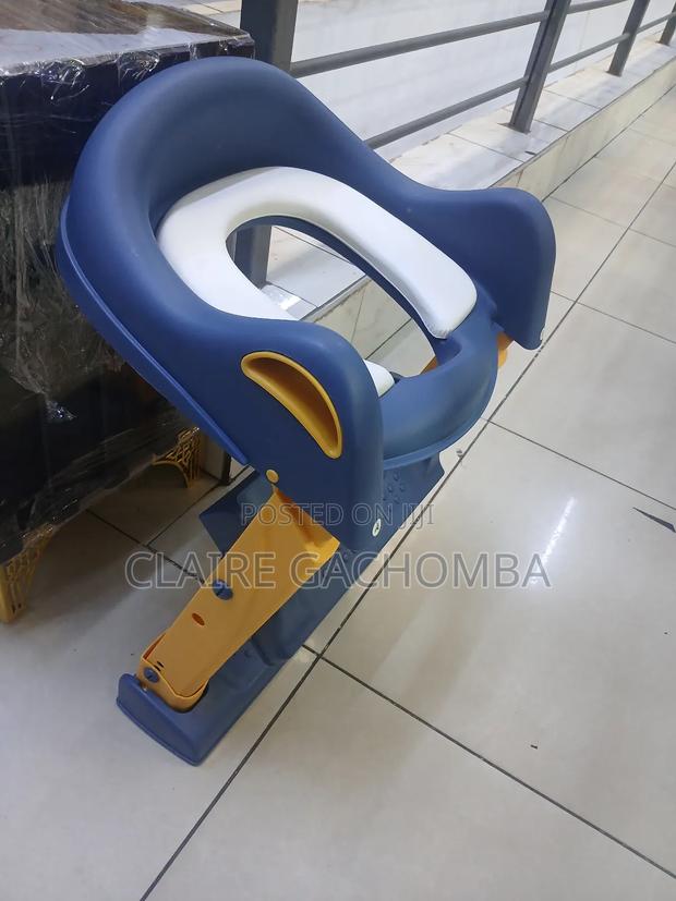 Baby Potty /Toilet Training Ladder - main view
