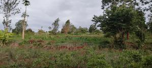Prime One Acre Land for Sale in Kirinyaga Kimbimbi - thumbnail 2